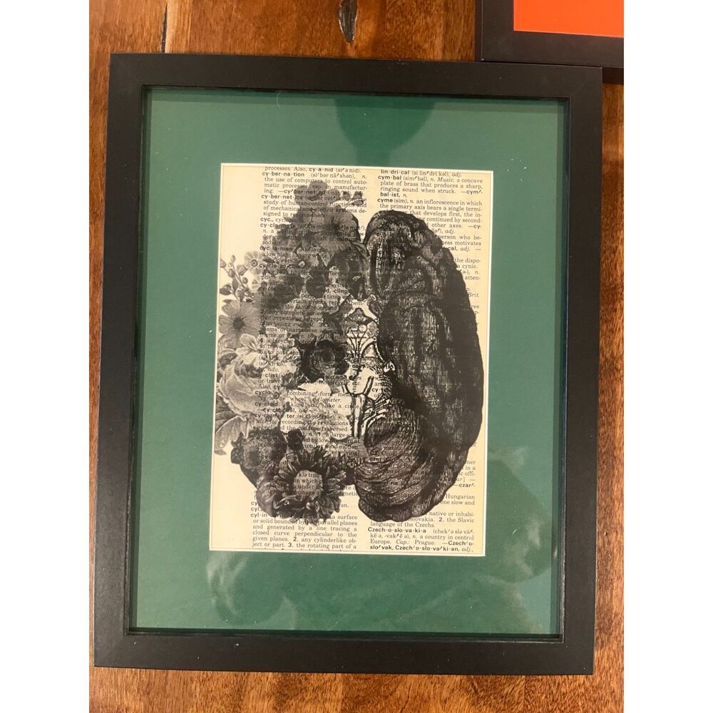 Gothic Botanical Kidneys Framed Art 8x10 Green Mat Anatomy Wall Decor